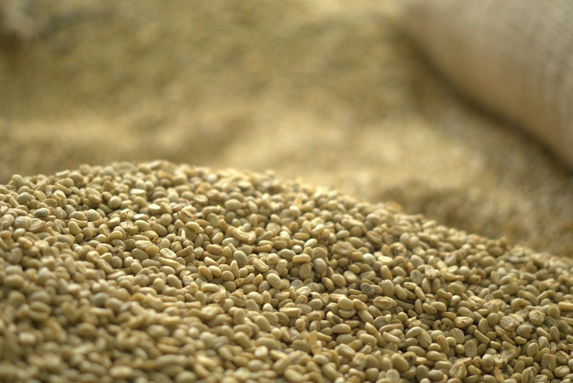 WASHED YIRGACHEFFE IDIDO GRADE 1