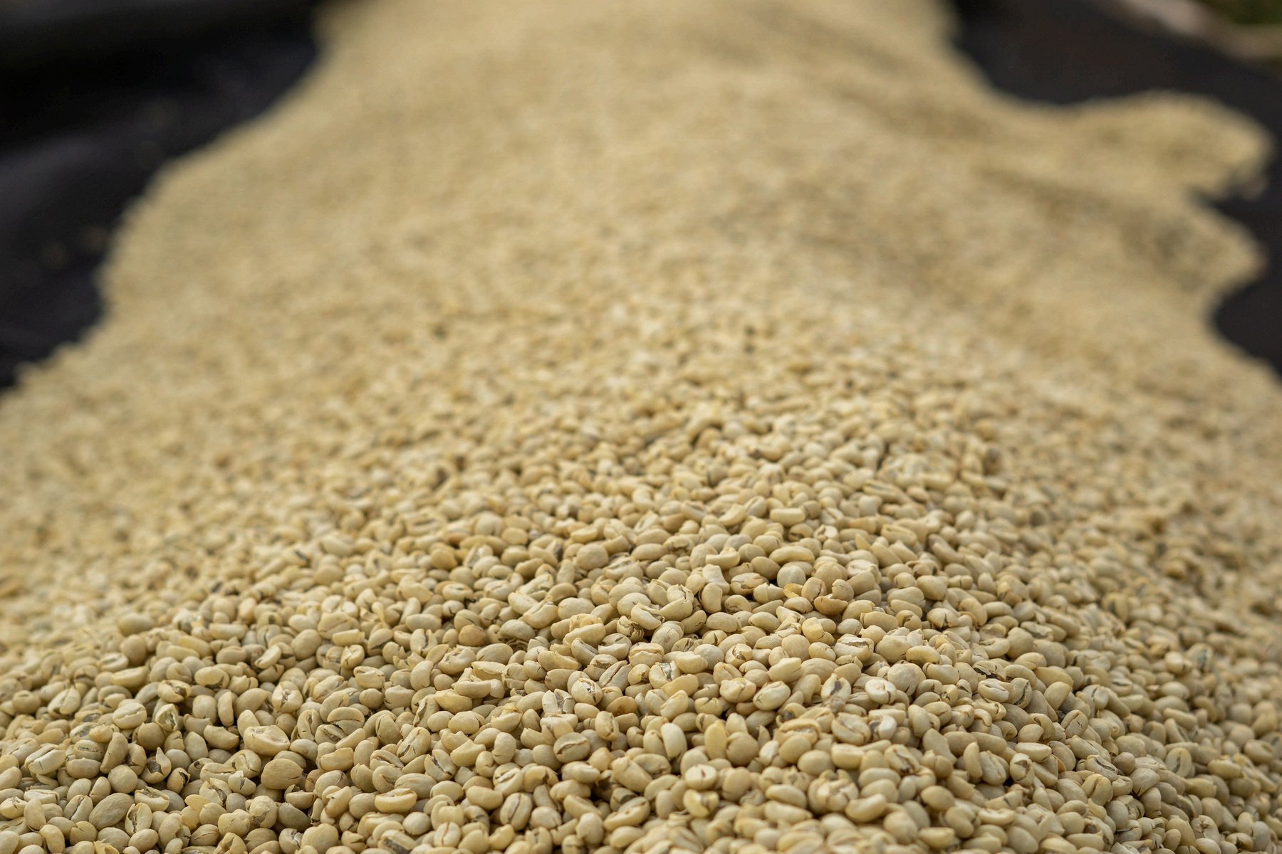 WASHED GUJI URAGA GOGUGU GRADE 1